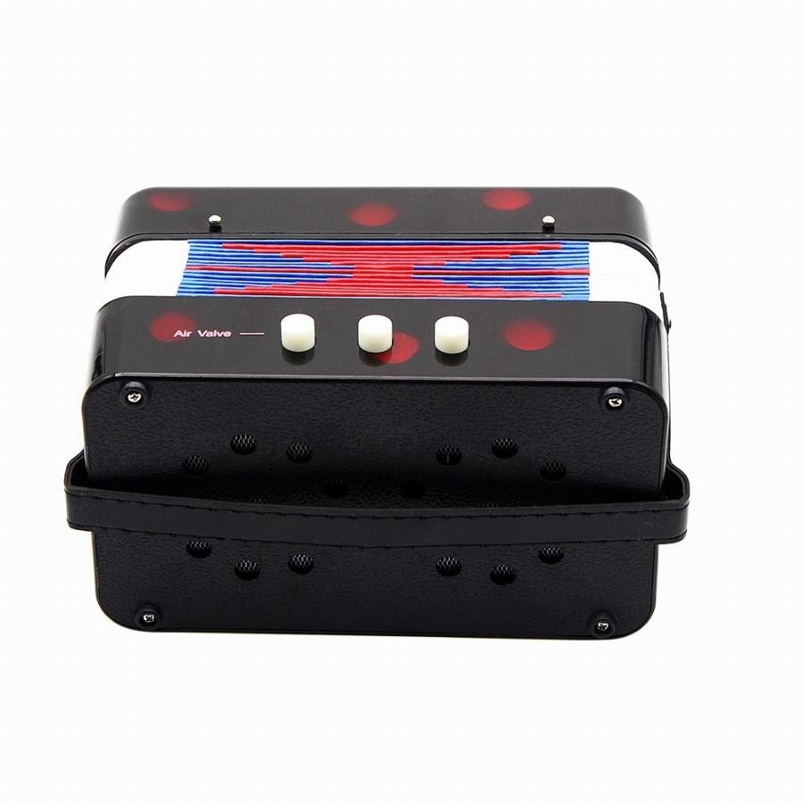 Fisarmonica Giocattolo Per Bambini 10 Tasti - Strumento Musicale Educativo Dai 3 Anni In Su | Blu - Foto 10