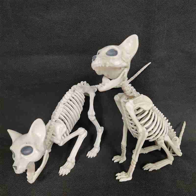 Scheletro di animale Del Gatto Del canna Del topo Modello di Scheletro M1K8