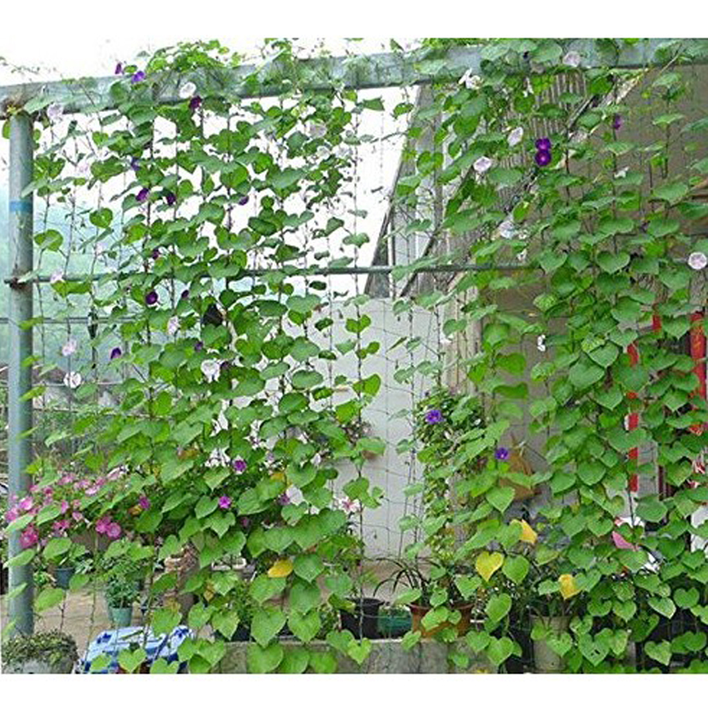 Support en Nylon pour treillis végétal | Pour plantes grimpantes, vigne végétine, fournitures de plantes de jardin et de légumes