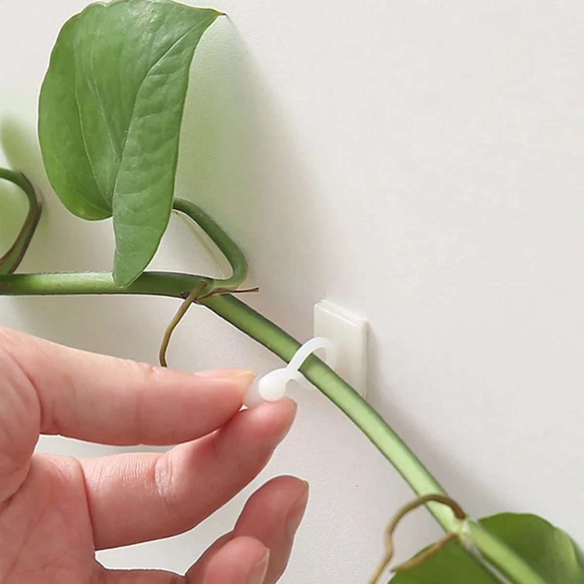 10 teile/paket Anlage Klettern Zauberstab Halterung Clips Rattan Reben Fixer Selbst-Klebe Haken Unsichtbare Garten Bindung Clip Zauberstab StickyClip