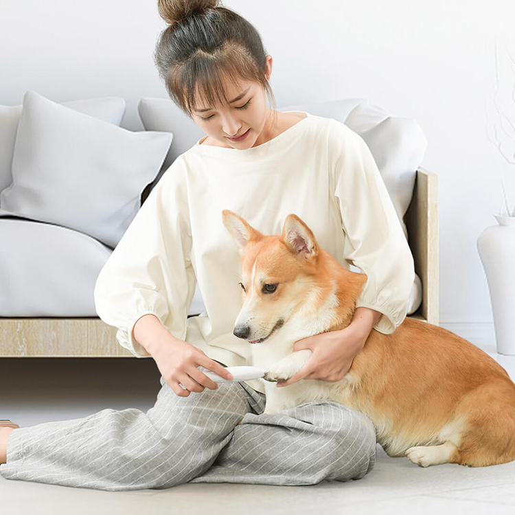 Xiaomi-Herramienta de aseo para mascotas Pawbby Original, cortadora eléctrica para perros, afeitadora Local, cortadora de pelo para gatos, afeitadora para patas