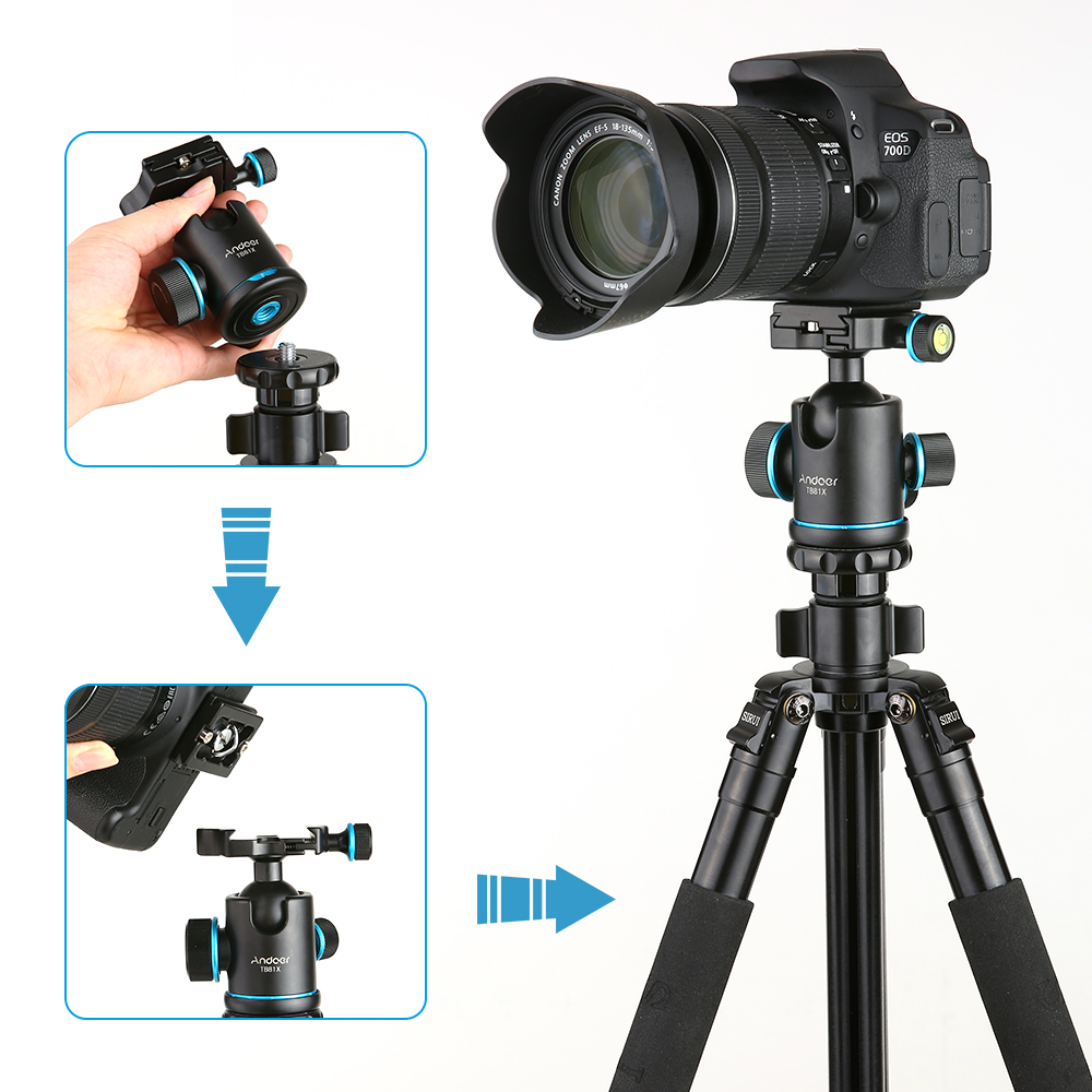 Andoer TB81X Tripod Head Ball Head Rotating Panoramic BallHead with 3pcs 1/4&quot; to 3/8&quot; Srew Adapters for Monopod DSLR Camera