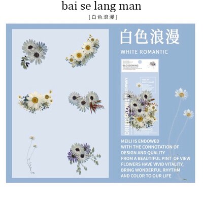 Jianwu 6 ark blomst stor klistermærke pakke plante journal klistermærke dekorative klistermærker note collage papir papirvarer: Bai se lang mand