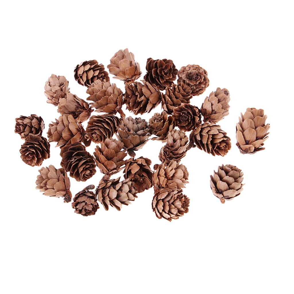 30pcs Small Decorative Pine Cones for Home Party Ornament DIY