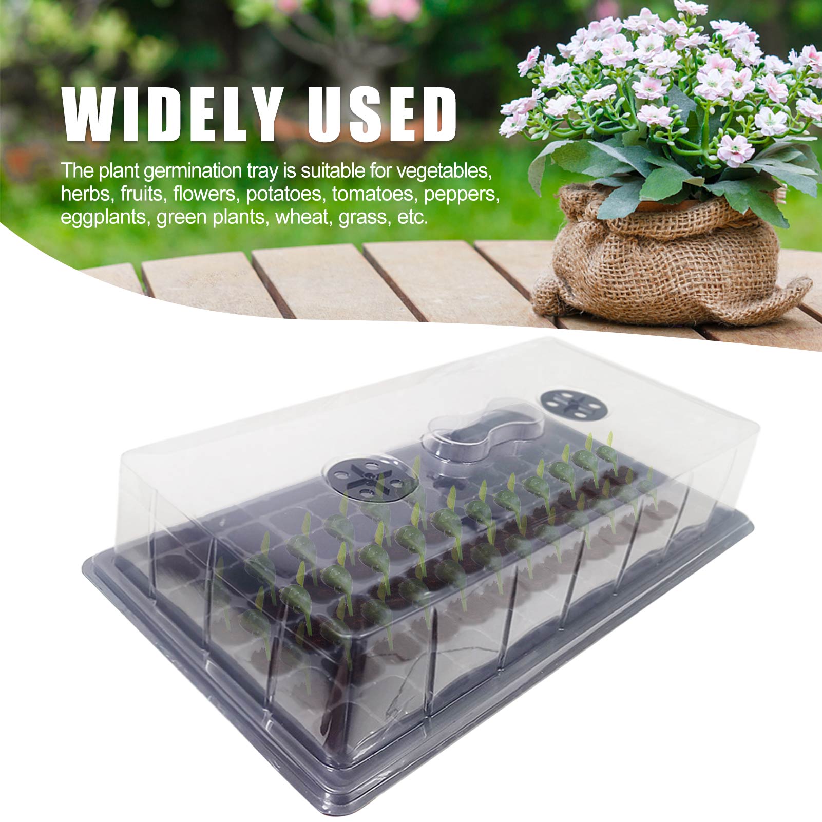 Planting box Thicken planting box Nursery box Family balcony flower moisturizing incubator 3PC set 72 holes Gardening supplies
