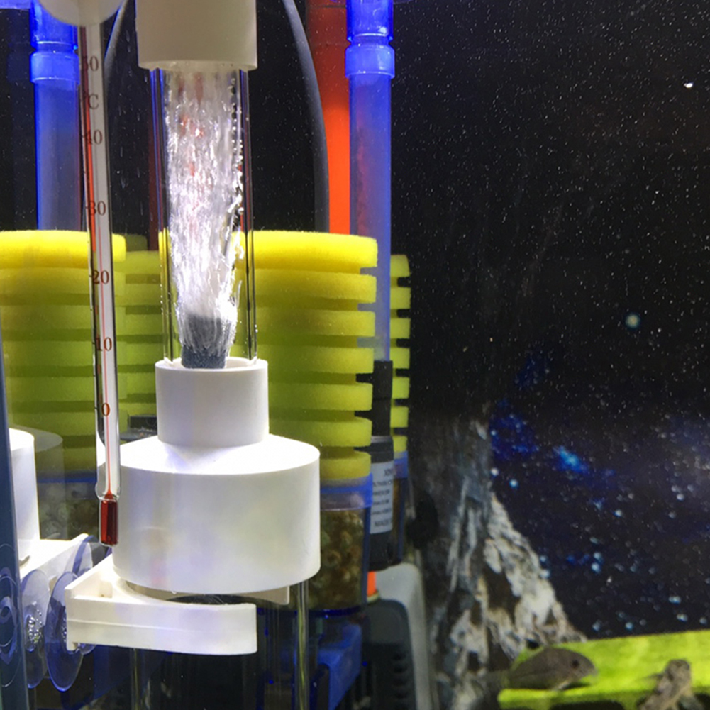Incubateur de cichlides pour Aquarium, couveuse d&#39;œufs de poisson au lieu de l&#39;éclosion