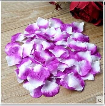 5000 stk / parti 5*5cm silke rosenblade til bryllup dekoration, romantiske kunstige rosenblade bryllup blomst rose blomst: Lilla og hvide