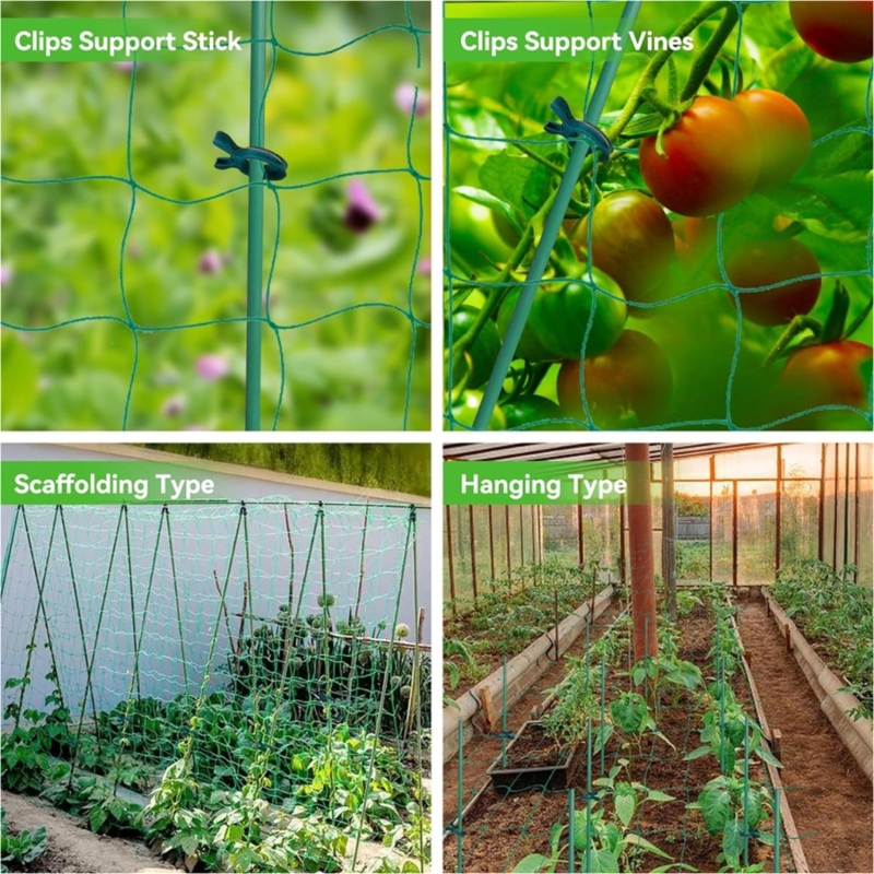Rete a traliccio da giardino Rete supporto per piante per piante rampicanti Rete flessibile per esterni per fagioli, piselli,