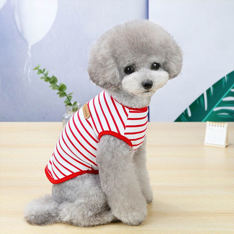Cat Clothes Autumn Winter Pet Clothing For Small Cats Dogs Cotton Cat Costumes Soft Kitten Kitty Coat Jacket Puppy Outfit York: Red / S