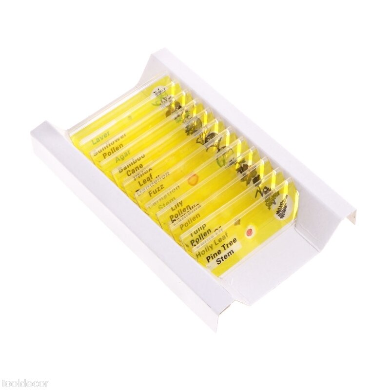 12 Pcs Prepared Microscope Slides Set Specimen For Student Basic Biology Education: Yellow