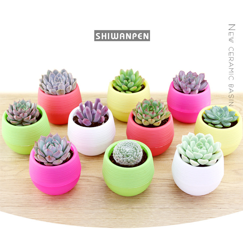 Plateaux de Pot de pépinière colorés créatifs Mini plantes en Pot Pots de fleurs jardinières pour plantes succulentes bureau à domicile Pots de fleurs de bureau