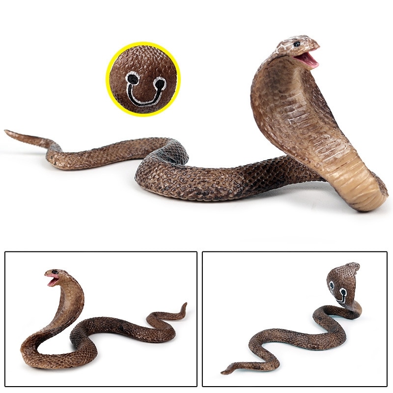 Simulación de reptil modelo Cobra serpiente anfibio gafas Kingsnake modelo ordenado juguete adornos