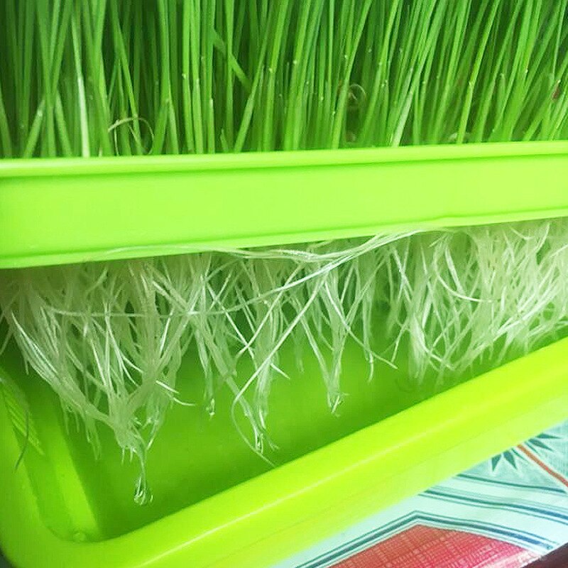 1pc Double Layer Planting Dishes Plate Bean Sprouts Seedling Tray Growing Wheat Seedlings Nursery Pots Plant Tool