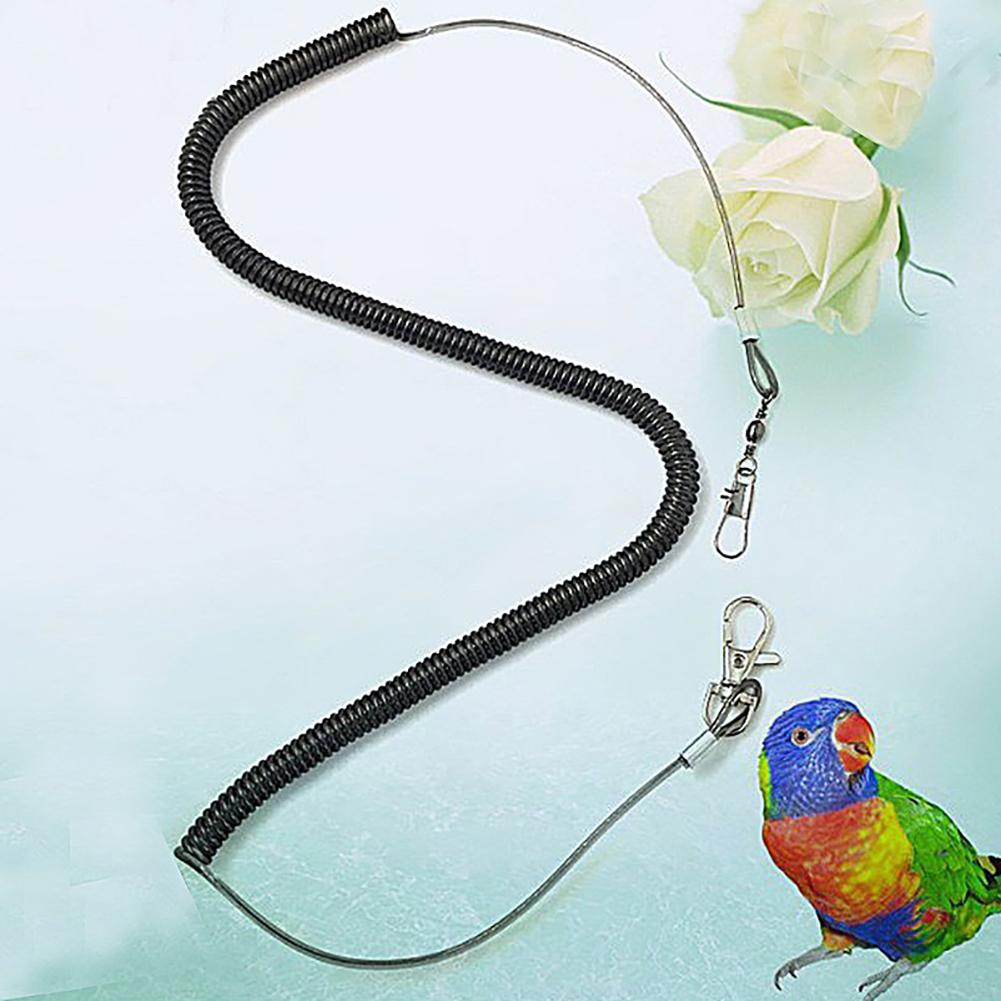 Laisse pour oiseaux, type d&#39;extension, pour entraînement en vol, sangles en corde, perruches, fournitures pour perroquets