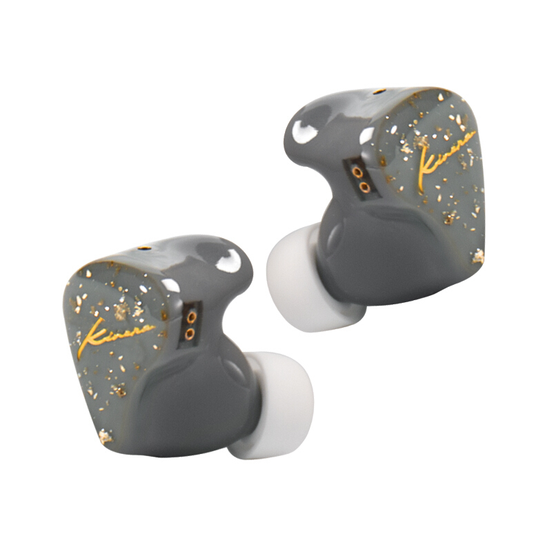 KINERA BD005 Pro 1DD 1BA HIFI Hybrid Technology Detachable Cable Headphones In Ear Sports Monitor Earphones Earbuds With Mic: GRAY