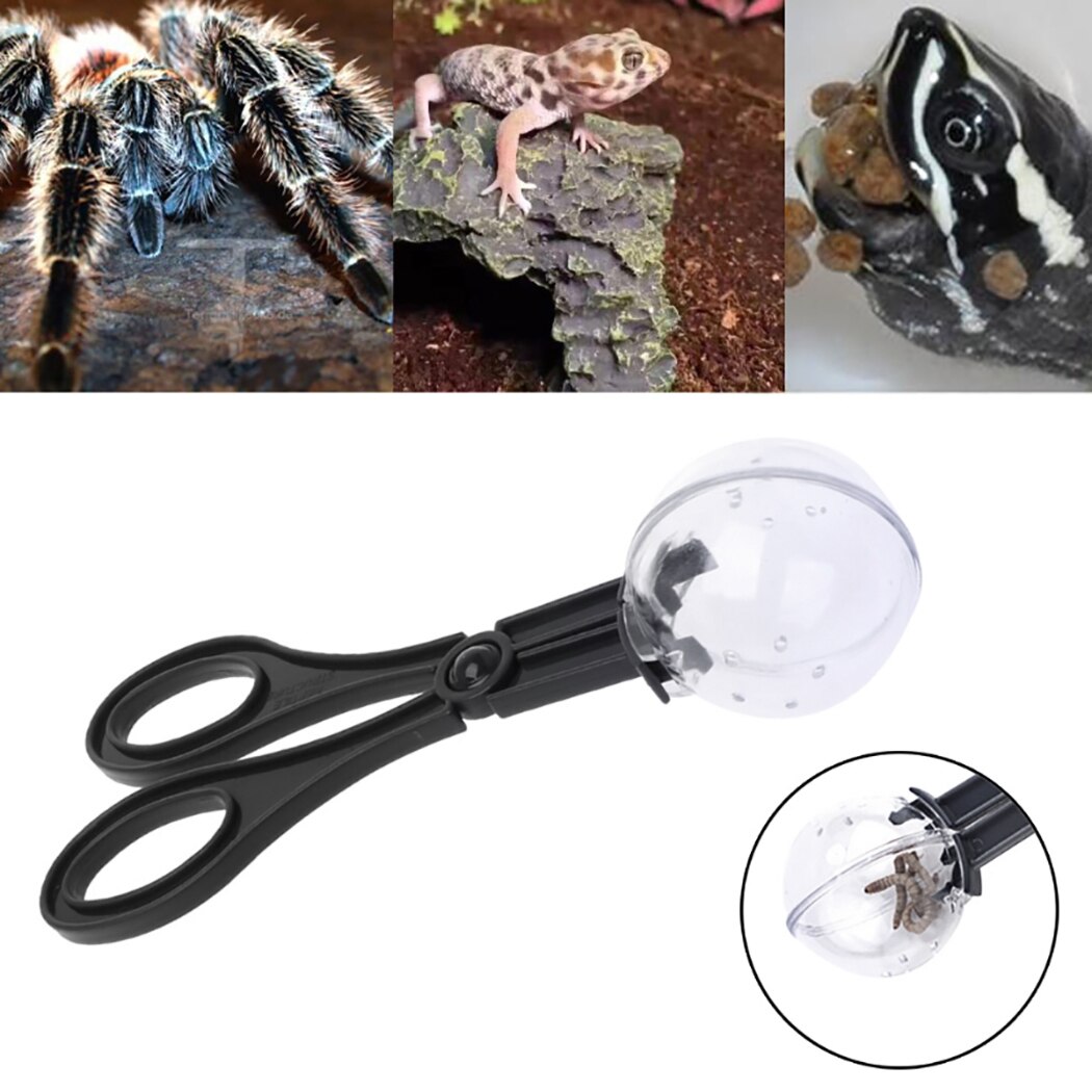 2pcs Reptile Terrarium Lizards Plastic Tongs Tweezers Pet Raising Feeding Tool Clip Pooper Scooper Pickup Tongs Scooper