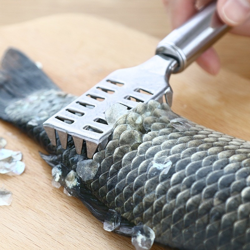 Stainless Steel Fish Scale Planer Kitchen Practical Fish Killing Scaler