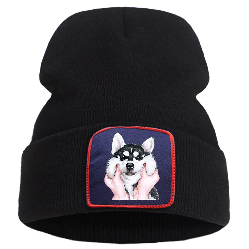 Belle mignon Husky chien Bonnet casquettes femmes hiver coton Skullies chapeau hommes en plein air Hip Hop Bonnet tricoté doux unisexe Beanie chapeaux: black6