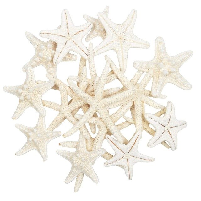 10PCS Starfishes Ocean Beach Starfish for Wedding Decor Beach Theme Party, Home Decorations,DIY Crafts, Fish Tank