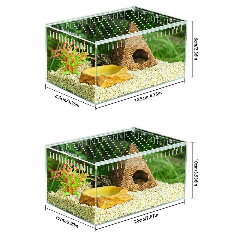 De plexiglás de acrílico terrario para reptiles Gecko serpiente, lagarto insecto araña vivero jaula TANQUE DE magnético tapa