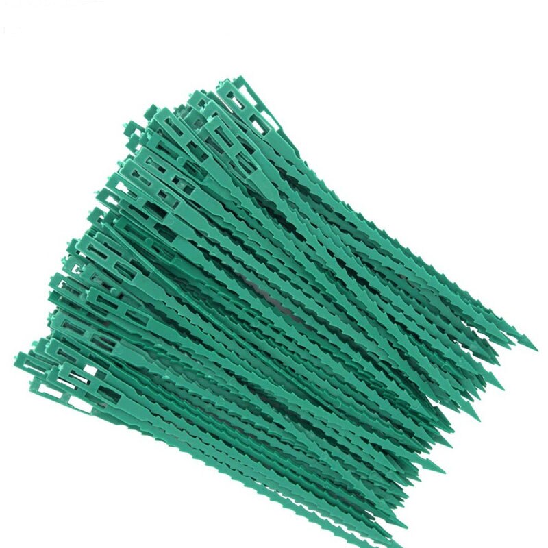 50/100 sztuk wielokrotnego użytku ogród opaski wsparcie dla roślin krzewy zapięcie drzewo blokowania nylon regulowany plastikowe opaski kablowe opaski narzędzia