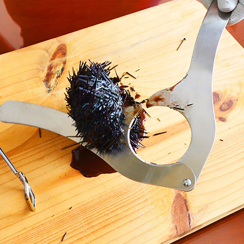 Coupe-oursins, ciseaux à pince, en acier inoxydable, ouvre-châtaignes durs, coupe d'aliments en mer, Gadgets de noël