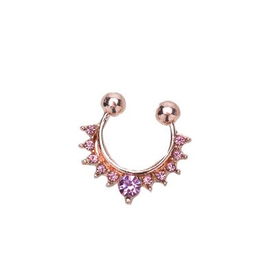 Legering Hoop Nose Ring Neus Piercing Nep Piercing Septum Clicker Nummers Hanger Voor Vrouwen Lichaam Sieraden: H