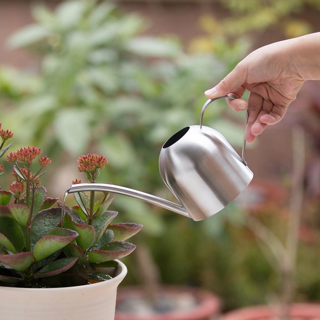 500ml Long Mouth Stainless Steel Watering Flower Kettle For Gardening Pot Or Indoor Succulents Plant Flower Watering Can