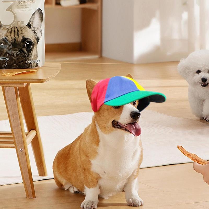 Cappello a elica per cani cappelli per sport tutto'aria aperta per animali domestici con fori per le orecchie cappello per cani cappello a cilindro per elicottero arcobaleno per piccoli cuccioli di gatti forniture per animali domestici