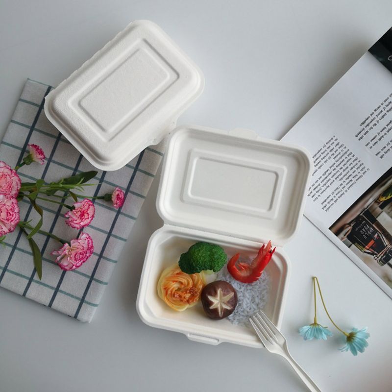50 Stks/zak 450Ml Milieuvriendelijke Wegwerp Afhalen Voedsel Containers Afbreekbaar Restjes Lunchbox