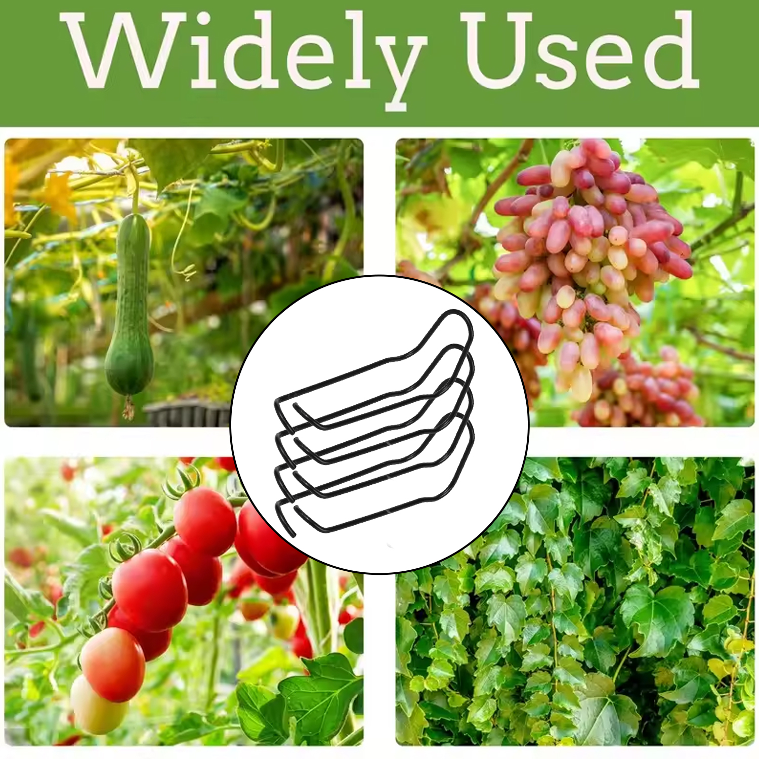Garden Trellis Clips Metal Plant Vine Stakes Connectors Climbing Frame Buckles for Tomato Cucumber Eggplant Vegetable Support
