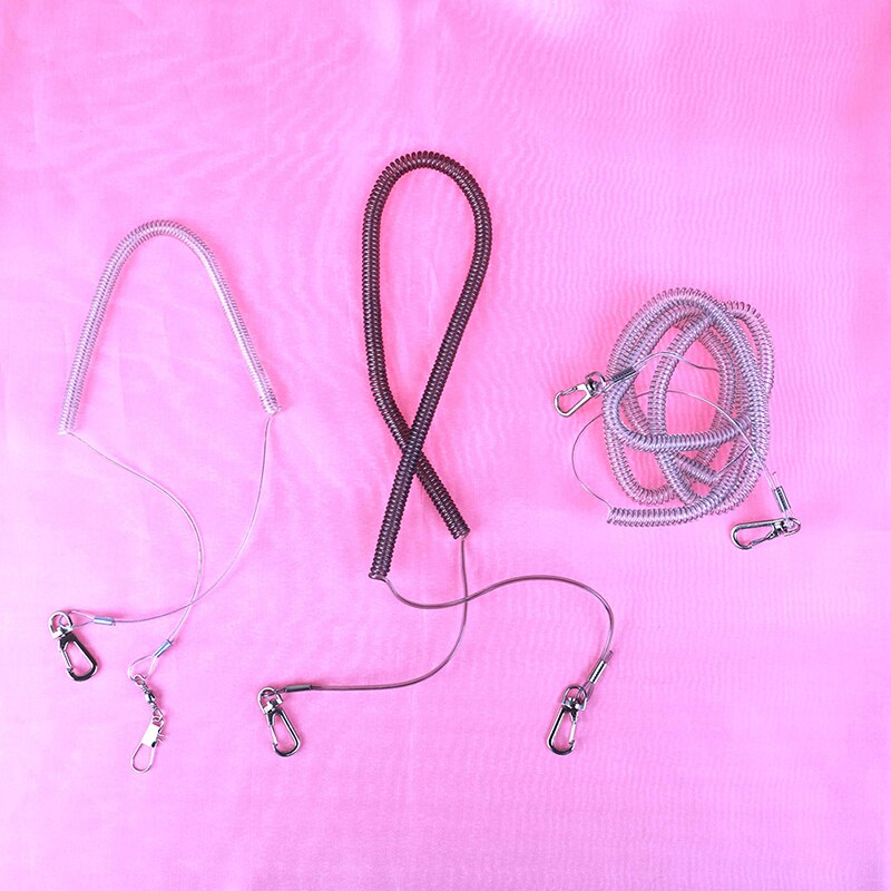 Laisse de plomb pour perroquet 3m 5m 10m | Kit pour oiseau perroquet, corde d'entraînement Anti-morsure, corde calopète pour perruche extensible