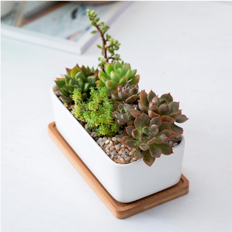 1Pc Ceramic Oblong Flower Pot with Bamboo Tray Succulent Planter Garden Bonsai Pot Flowerpot 17x8.5x5.7 cm