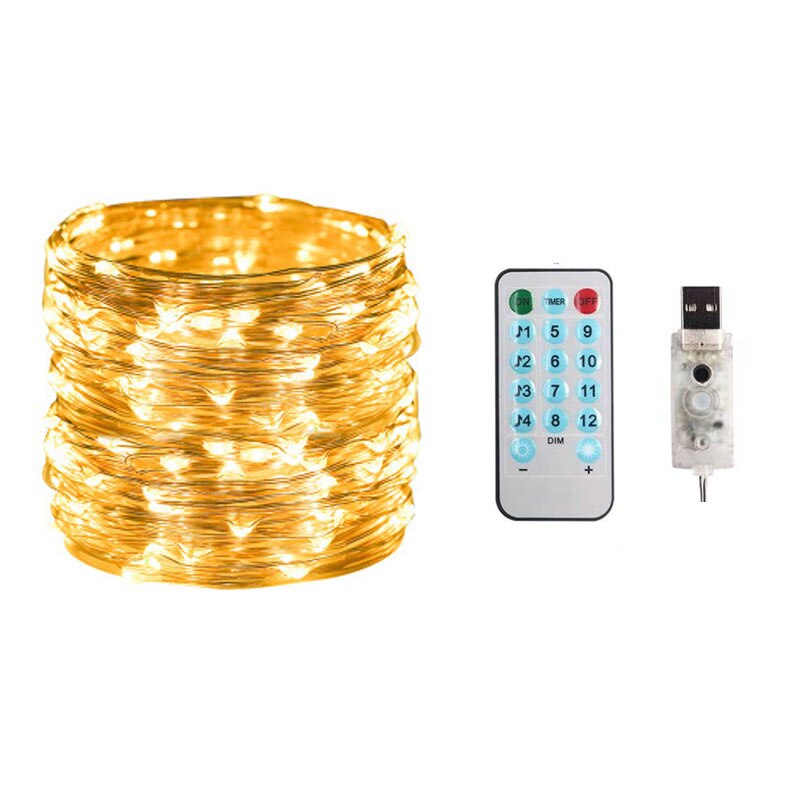 100 Leds Lights Music Rhythm USB Copper Wire Light Strings IP65 Waterproof IR Remote Control Party Decor Led strip: Warm White 10M