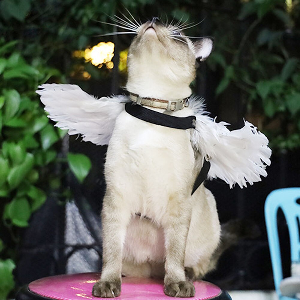 Animal de compagnie chien chat chauve-souris aile araignée Cosplay accessoire Halloween chauve-souris déguisement à capuche Costume tenue ailes belle décoration de noël vêtements