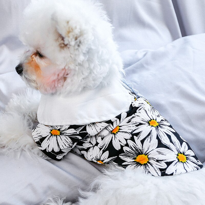 Petcircle hund hvalpe tøj sort tusindfryd blomster dukke skjorte&vest pasform lille hund kæledyr kat forår & sommer kæledyr sødt kostume hundetøj