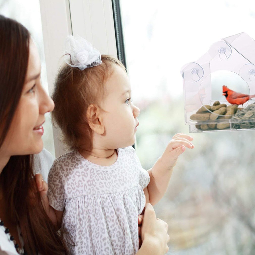 Bird Feeder Acrylic Transparent Window Viewing Bird Feeders Tray Bird house Pet Water Feeder Suction Cup Mount House