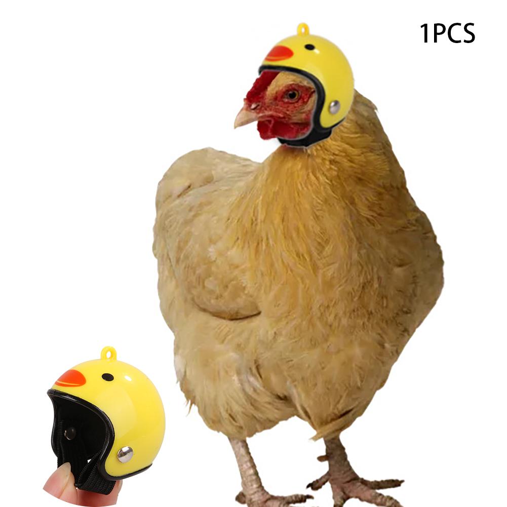 Cute Chicken Hat Chicken Helmet Protection Head Small Pet Hard Hat Bird Hat Headgear For Chicken Duck And Other Poultry