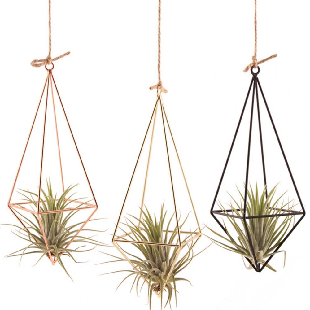 Metall Pflanzenständer Vermehrungsstationen Glas Terrarium Pflanzen Geometrische bilden Pflanze Eisenständer Luftpflanzenhalter Heimat Dekor