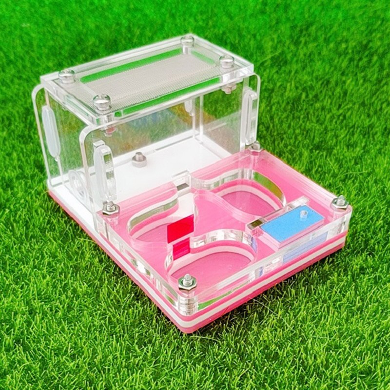 Mini Ant Farm Acrylic Ant Nest Small Pet Feeding Box Insect Supplies 9x7x4.5cm: FA-007