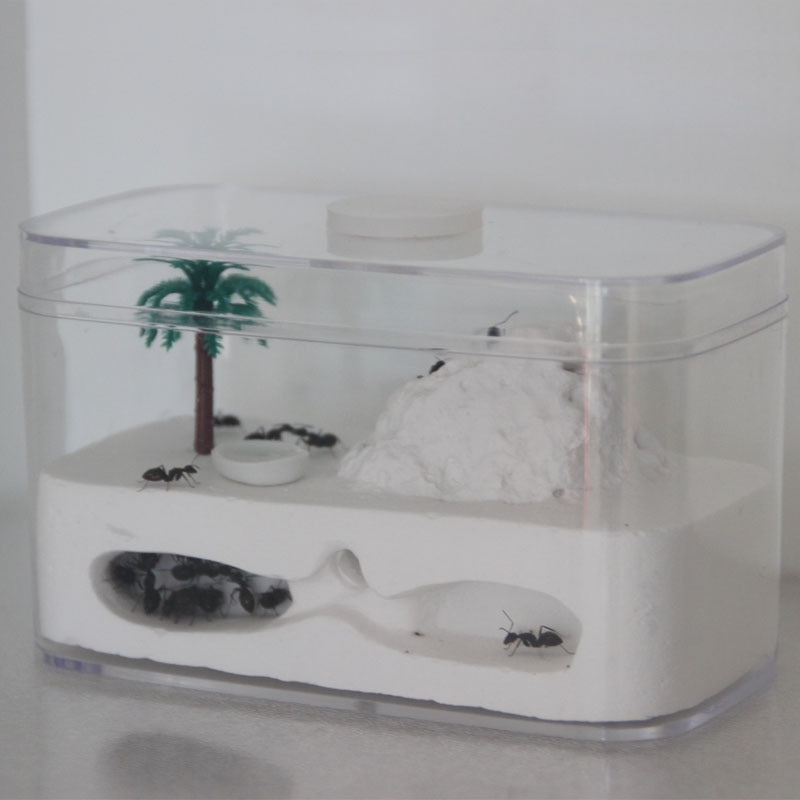 Pet Ant Living Gypsum Nest Ant Castle Ant Workshop Home Children Insect Nest Ant Tree House: Default Title