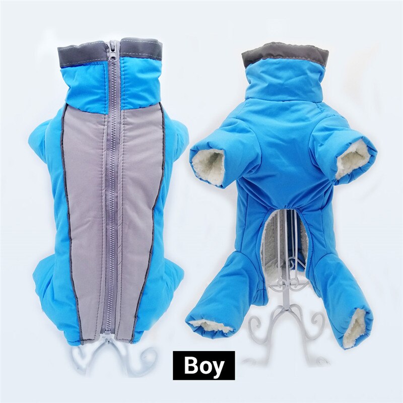Pojke/flick hundoverall vinter varm vattentät hunddunjacka reflekterande jumpsuit för små hundar med dragkedja för husdjurskläder snödräkt: 10 / Blå för pojke