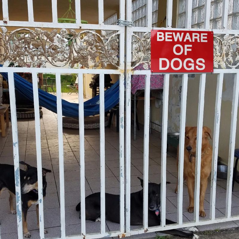 Indoor Outdoor Use 30x20cm 11.8x7.8 Inches Aluminum Beware of Dog Sign Indicator for Fence Gates Wall Guard Dog Signs