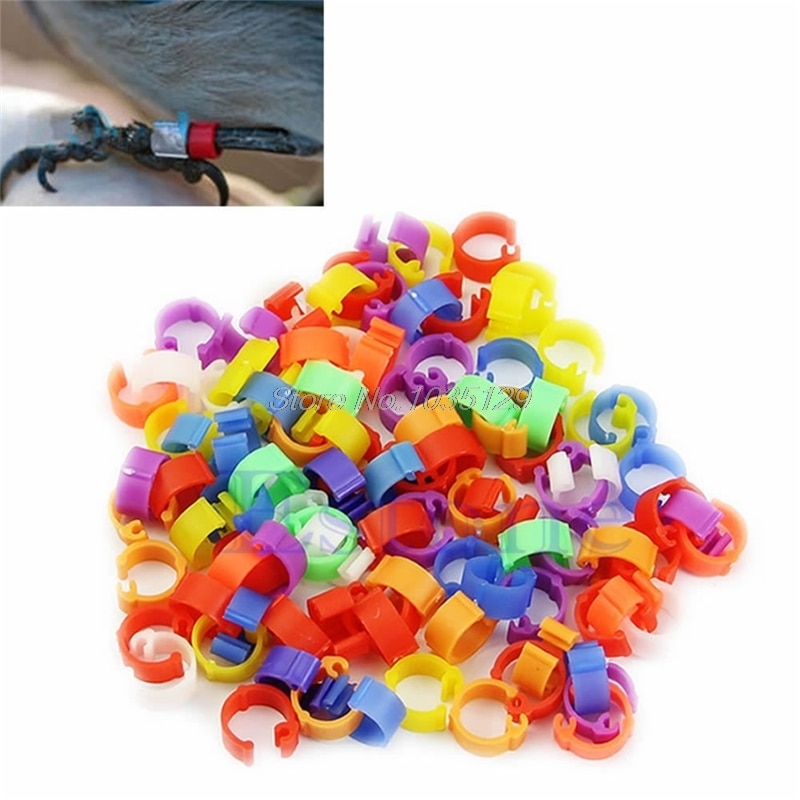 100 st kyckling höna duva ben fjäderfä duva fågel kycklingar anka papegoja klipp ringar band fot ring duva levererar fågel apparater