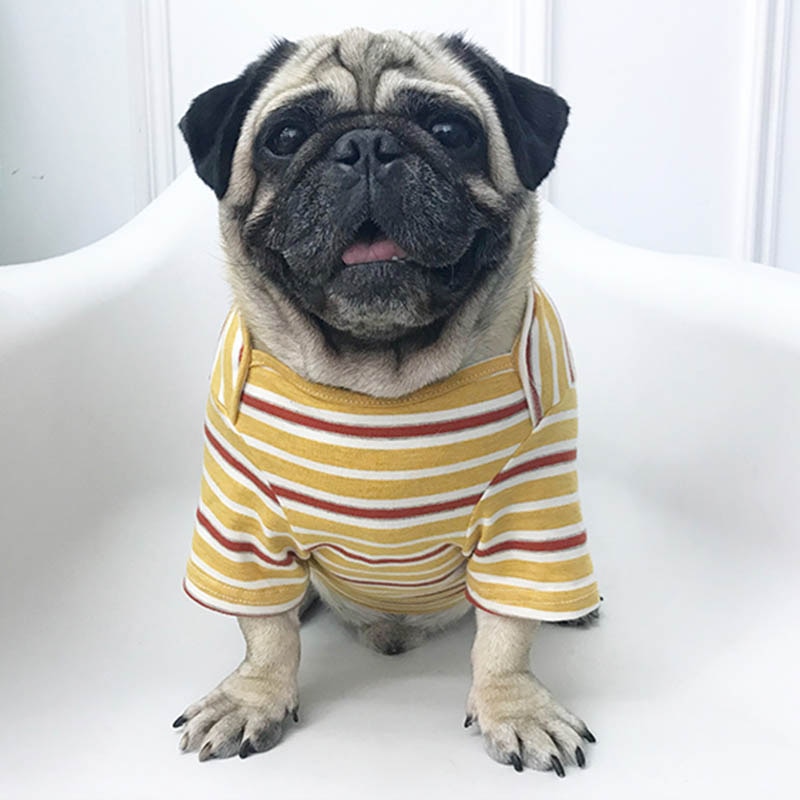 Gestreepte Hond Kleding Pug Franse Bulldog Kleding Voor Honden Shirt Warme Hond Jas Puppy Pet Kleding Voor Honden Huisdieren Kleding ropa Perro