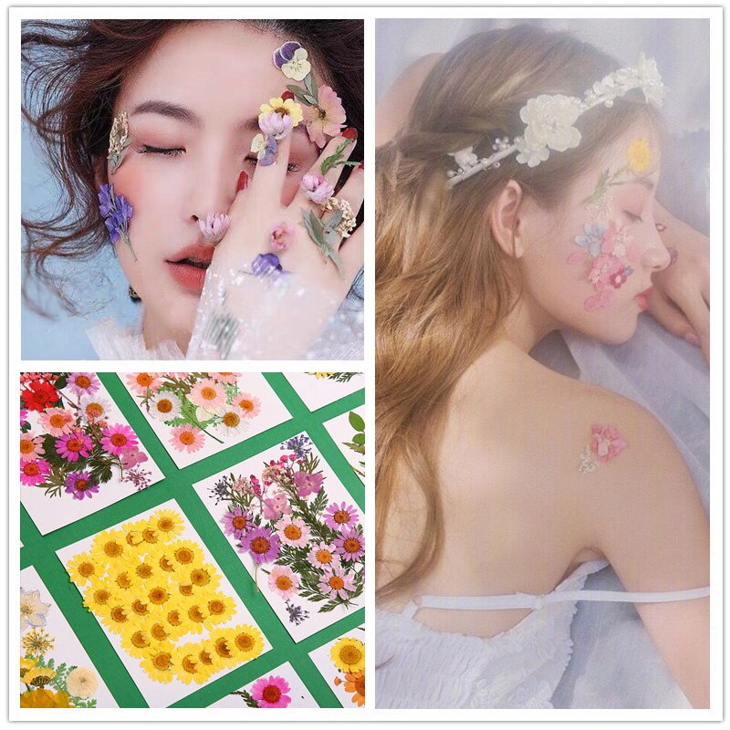 Pressed Flower Mixed Dried Flowers DIY Art Floral Decors Collection Craft DIY B99