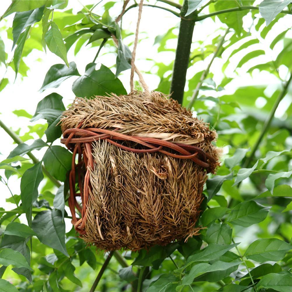 Picture of Little Bird Nest Handmade Bird House Natural Parro... – Vicedeal
