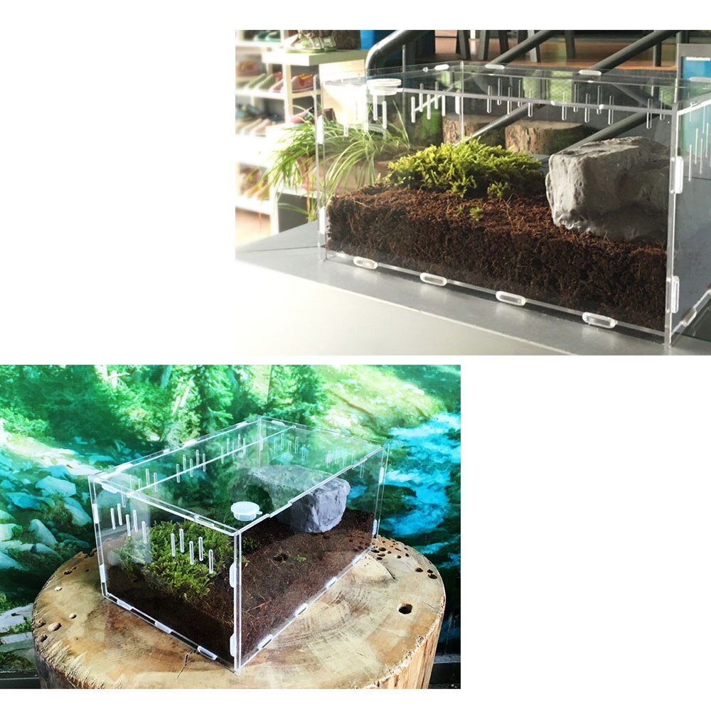 Pet Hom Reptile Box Cold Blooded Animals Breeding Stackable Animal Transportation Incubating Gecko Lizard Practical Reptile