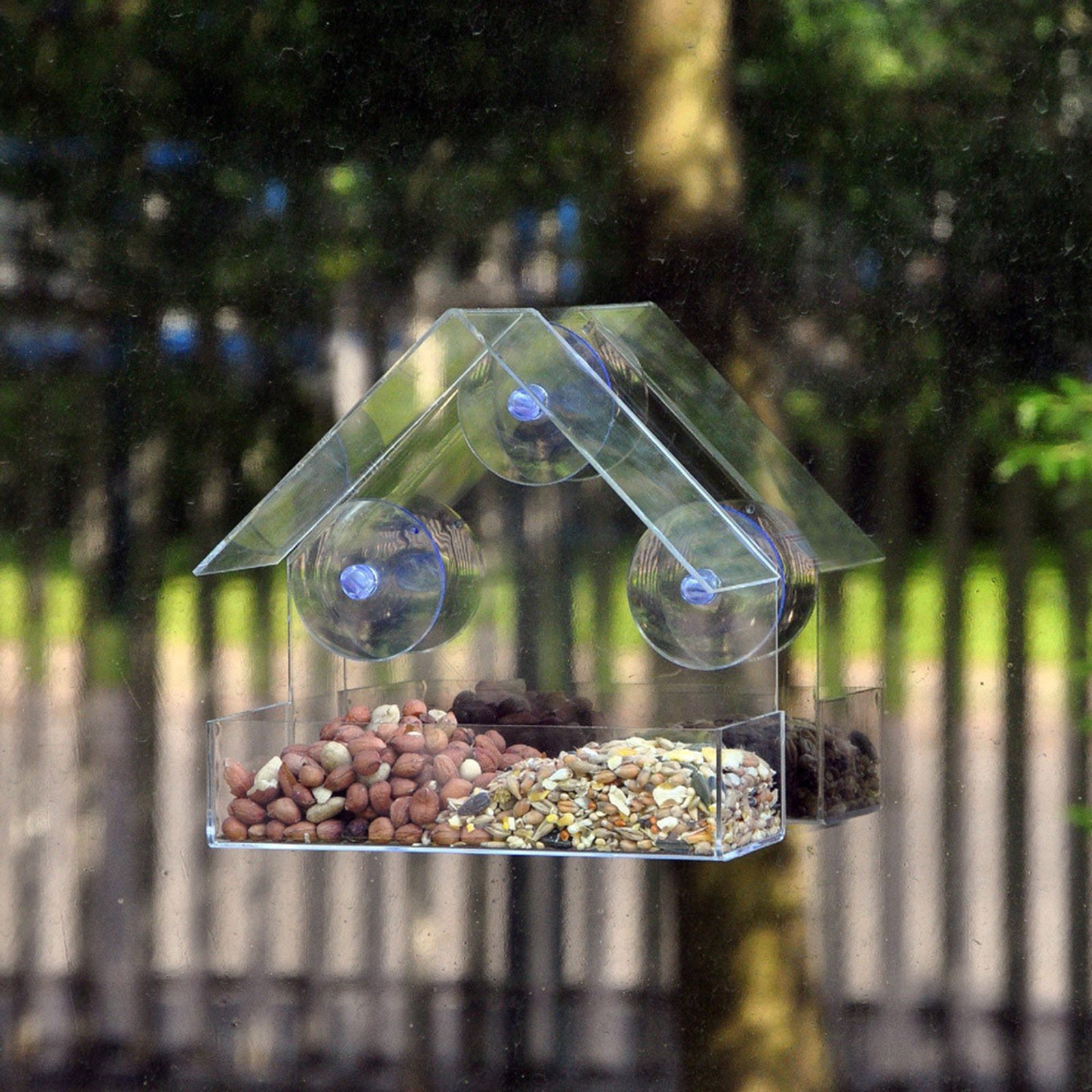 40# Clear Glass Bird Feeder Window Viewing Bird Feed Hotel Table Seed Hanging Transparent Suction Cup Bird Feeders House Decor