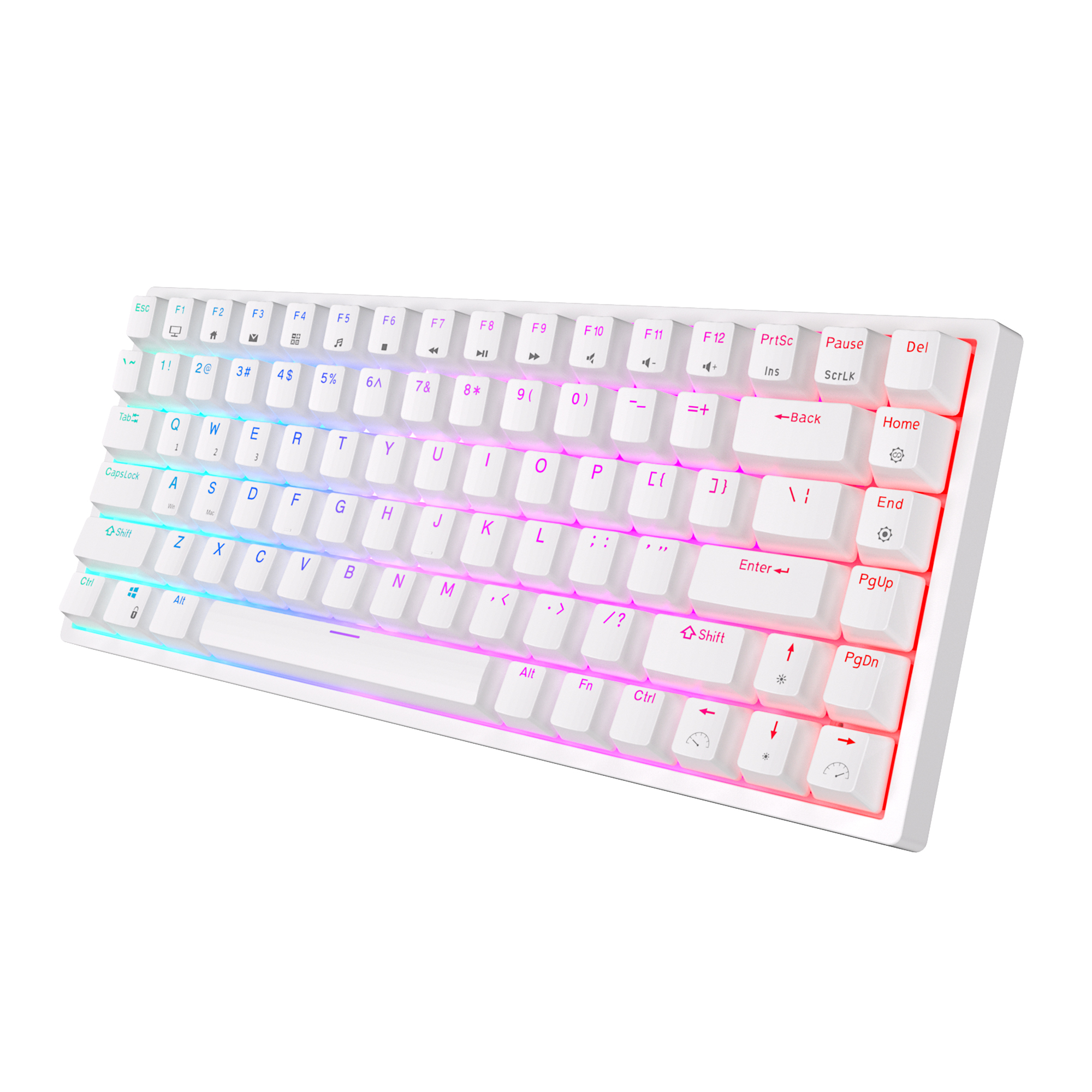 ! RK84 75% RGB Triple Mode Mechanical Keyboard BT5.0/2.4G/USB-C 84 Swappable Bluetooth Wireless Gamer Keyboard: WHITE / blue switch